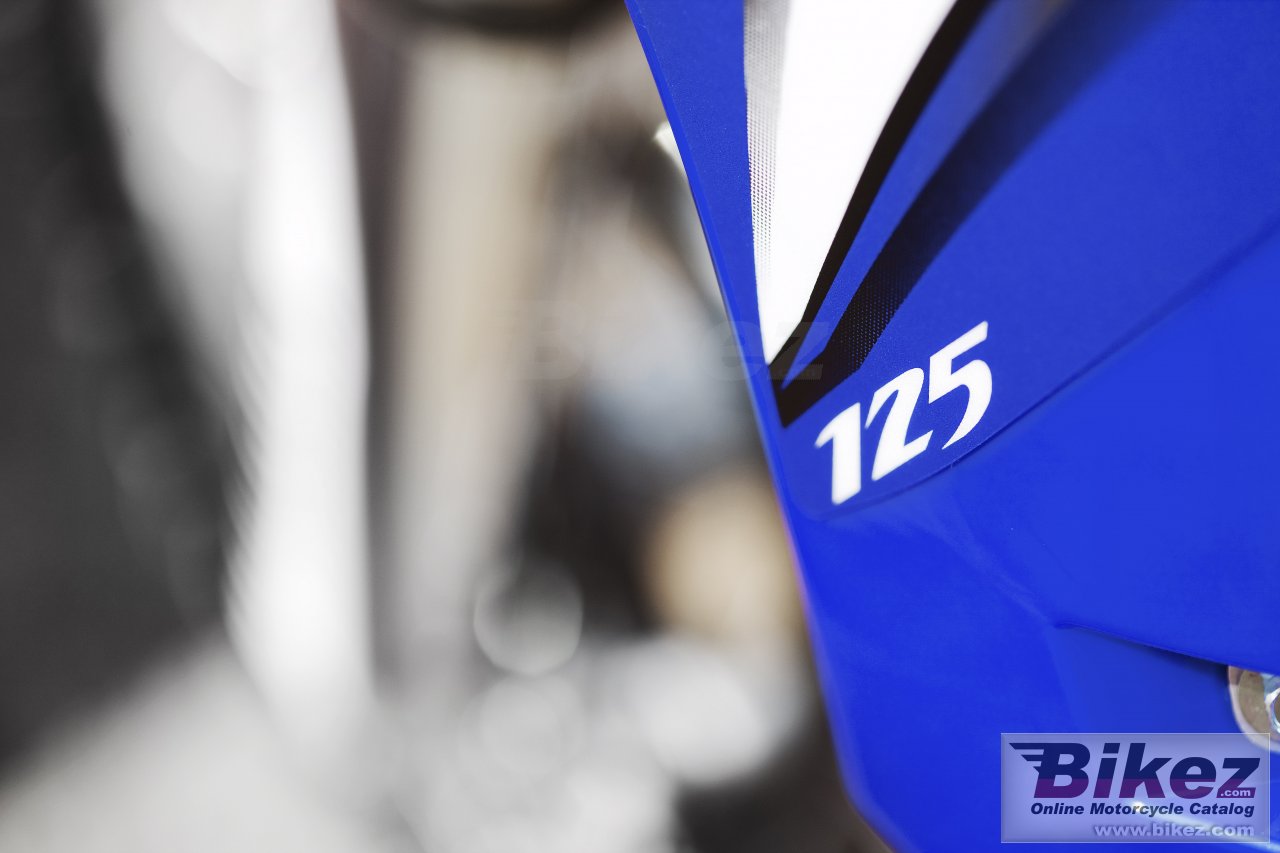 Thumbnail for Yamaha YZ125 2009