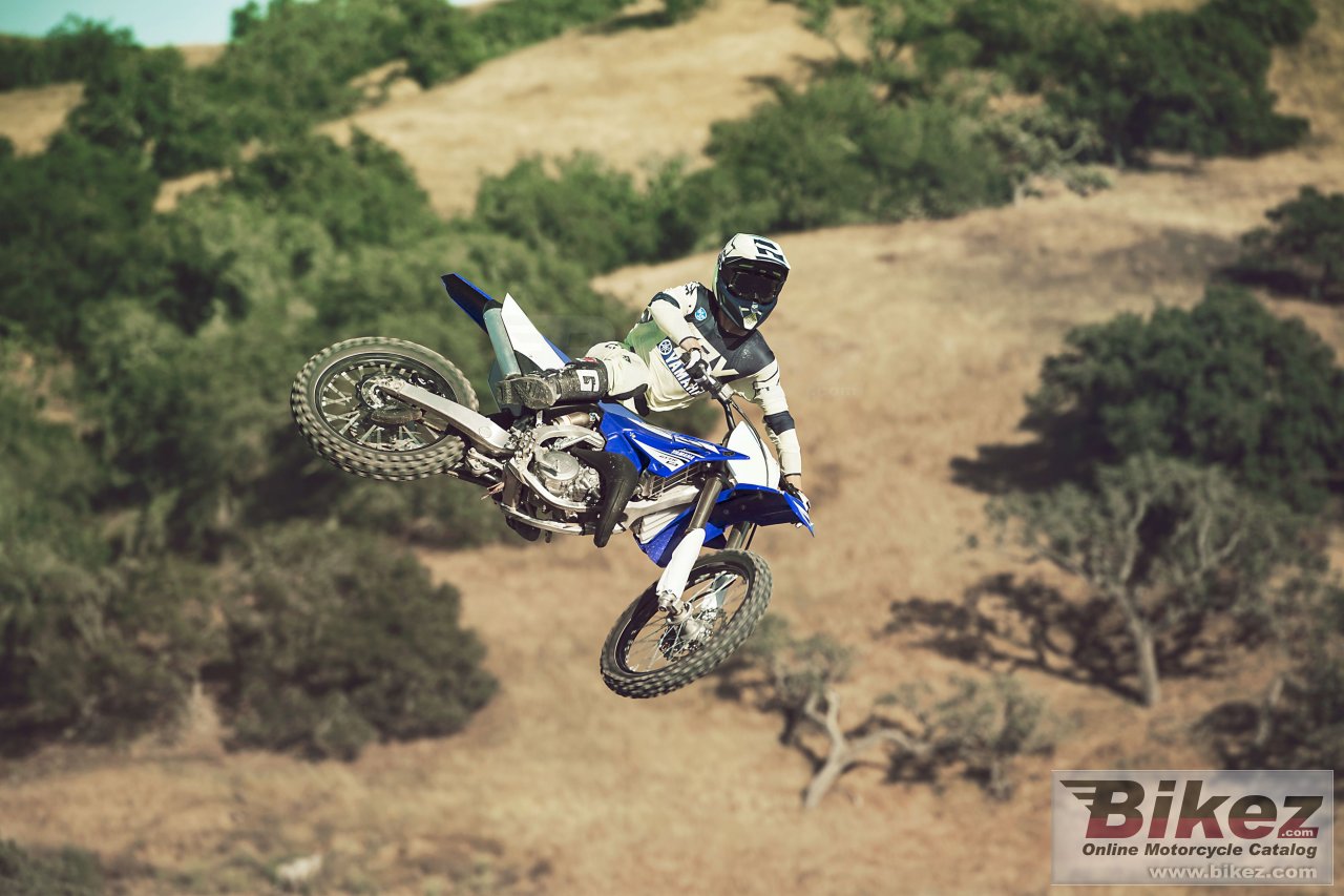 Thumbnail for Yamaha YZ125 2017