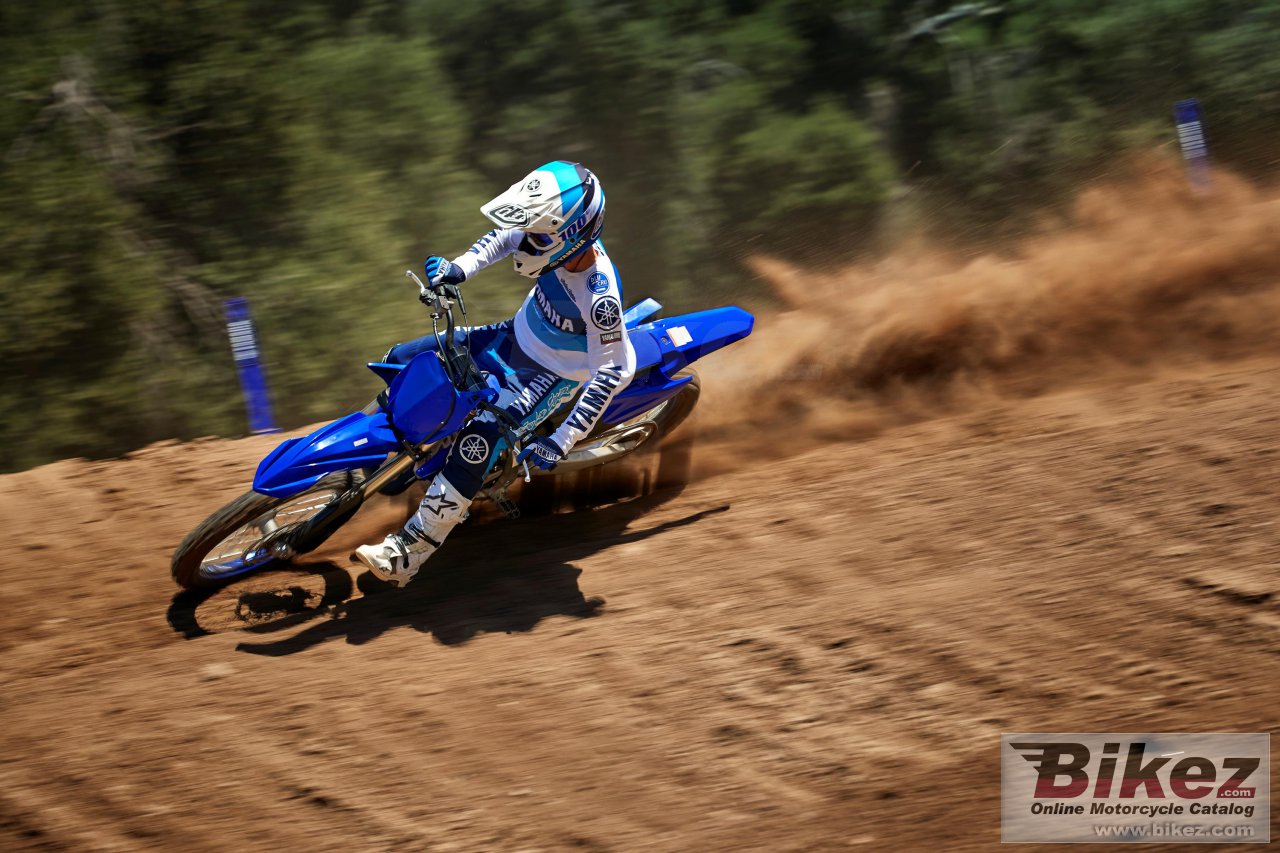 Thumbnail for Yamaha YZ125 2021
