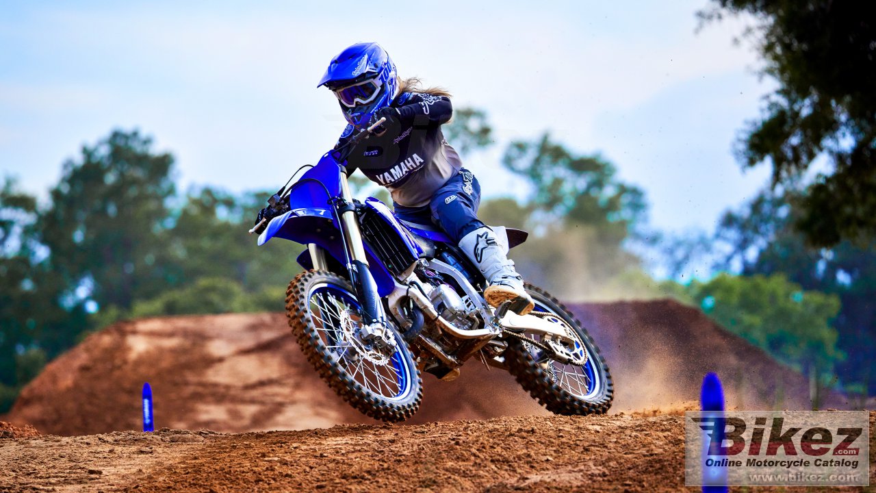 Thumbnail for Yamaha YZ125 2022