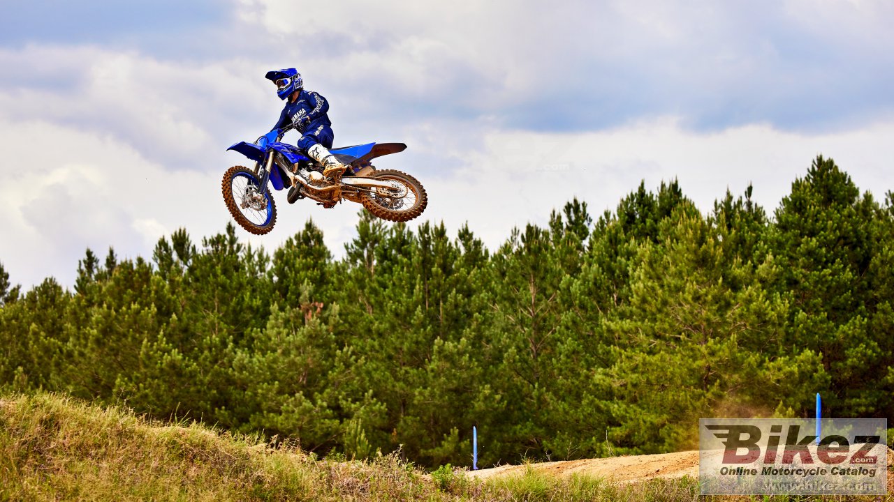 Thumbnail for Yamaha YZ125 2022
