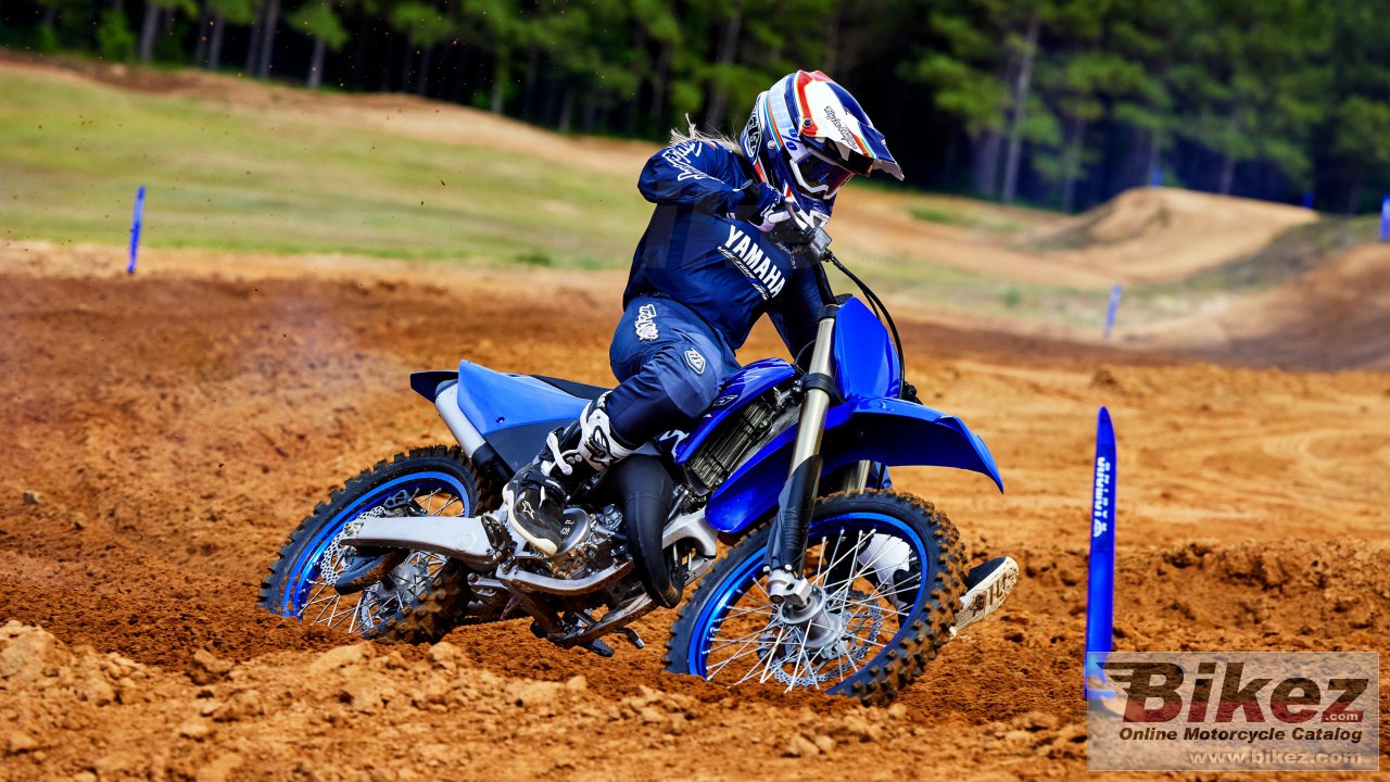 Thumbnail for Yamaha YZ125 2022