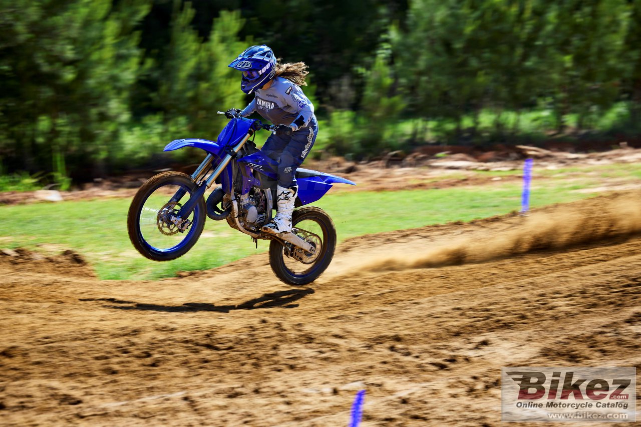 Thumbnail for Yamaha YZ125 2023