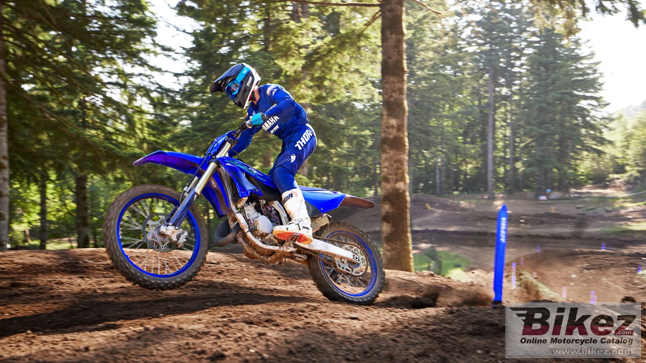 Thumbnail for Yamaha YZ125 2024