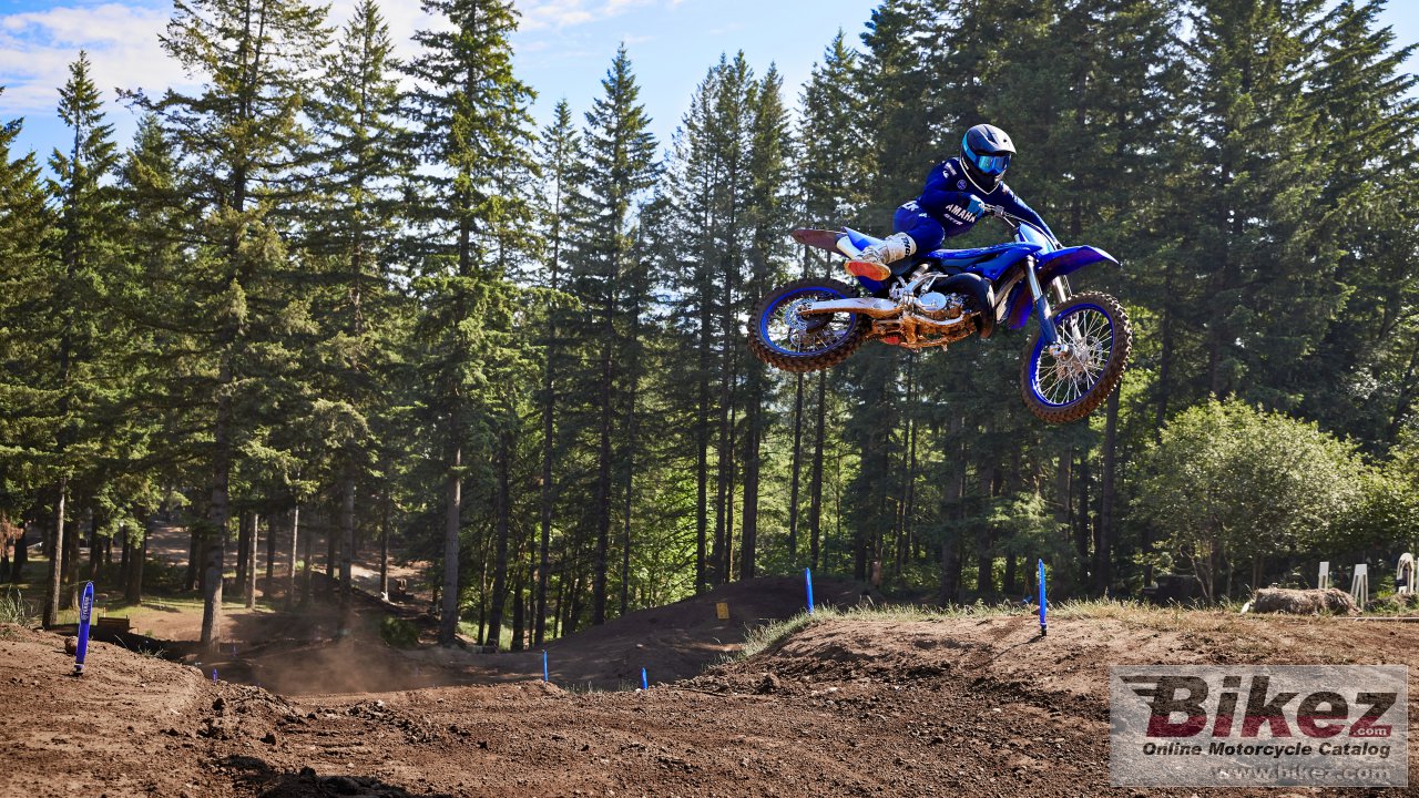 Thumbnail for Yamaha YZ125 2024