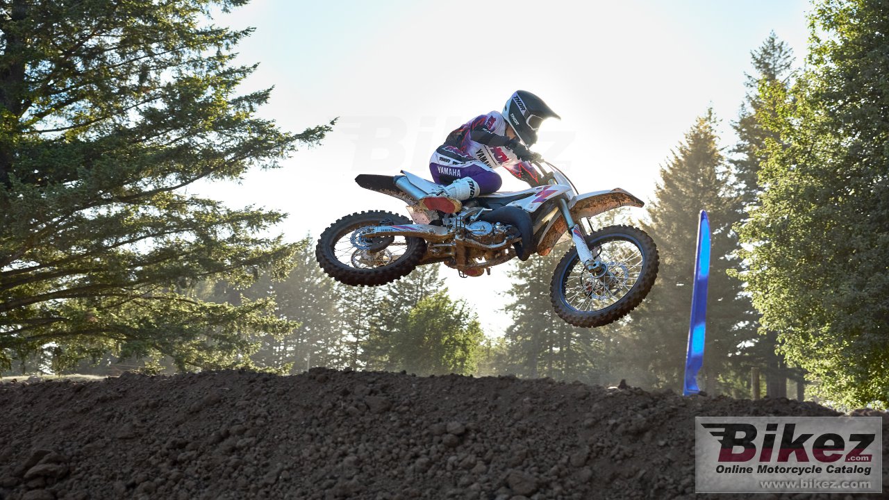 Thumbnail for Yamaha YZ125 50th Anniversary Edition 2024
