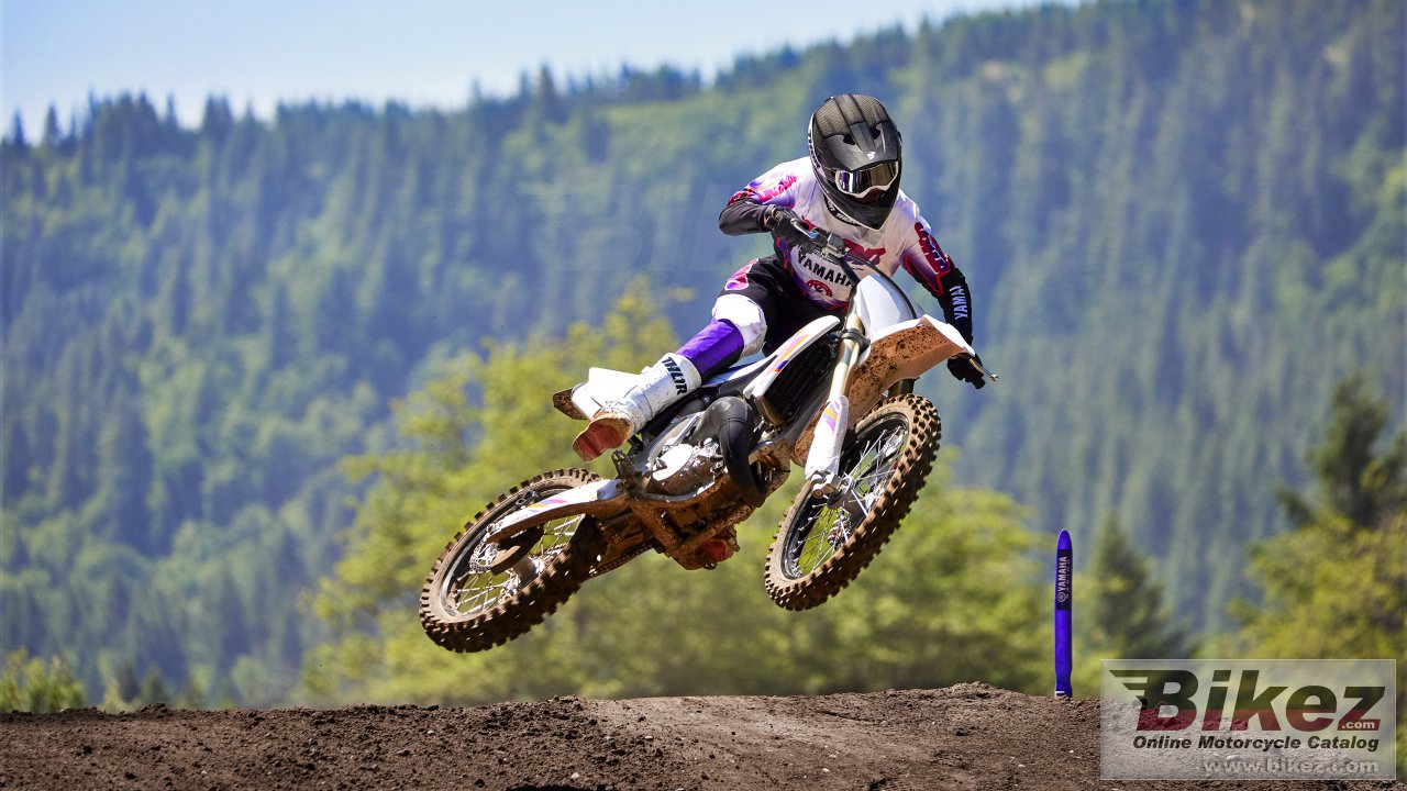 Thumbnail for Yamaha YZ125 50th Anniversary Edition 2024