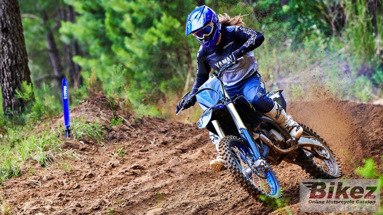 Thumbnail for Yamaha YZ125 Monster Energy 2022