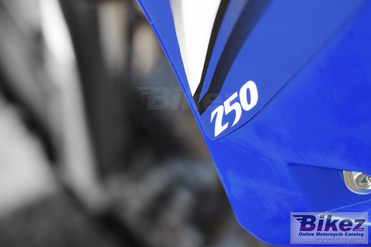 Thumbnail for Yamaha YZ250 2009