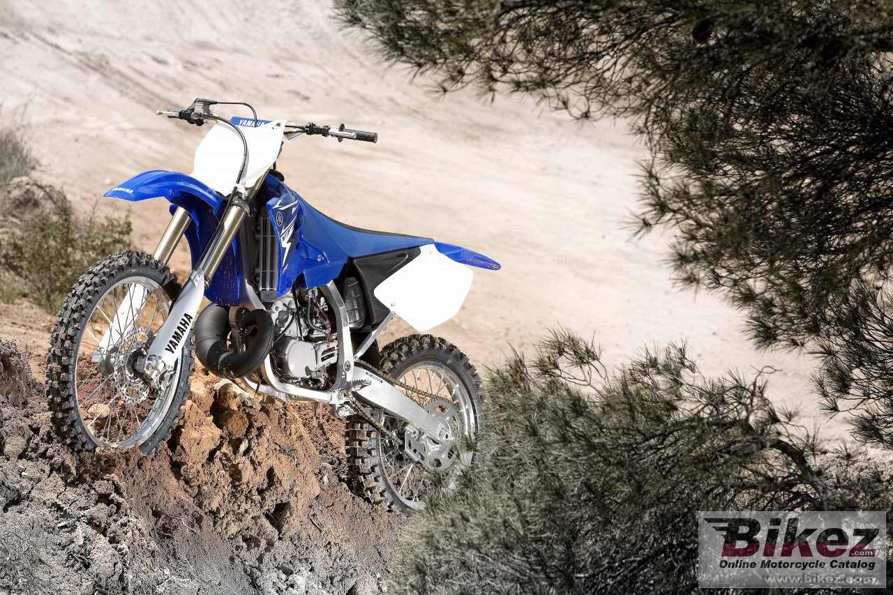 Thumbnail for Yamaha YZ250 2009