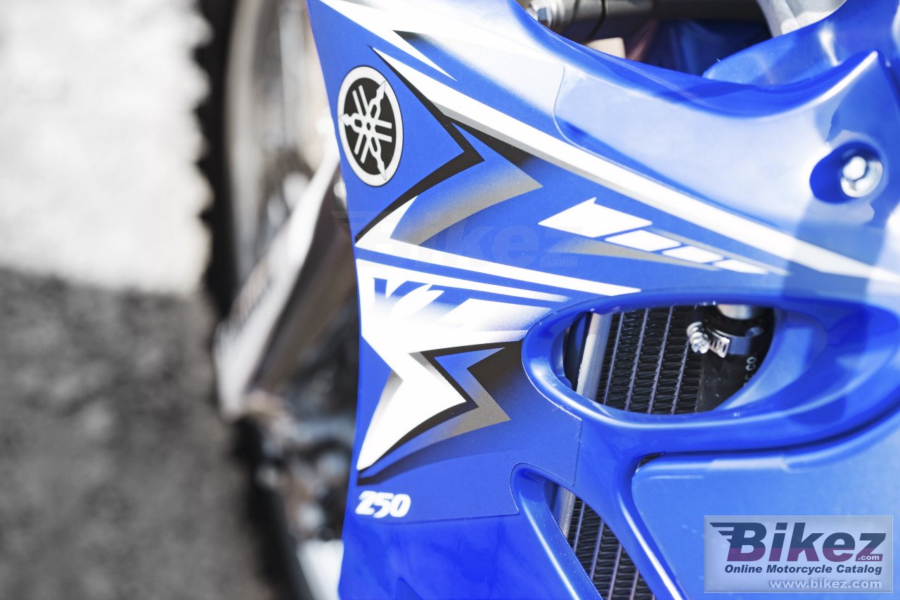 Thumbnail for Yamaha YZ250 2009