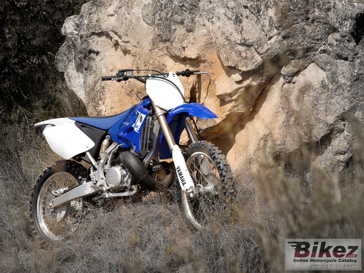Thumbnail for Yamaha YZ250 2013