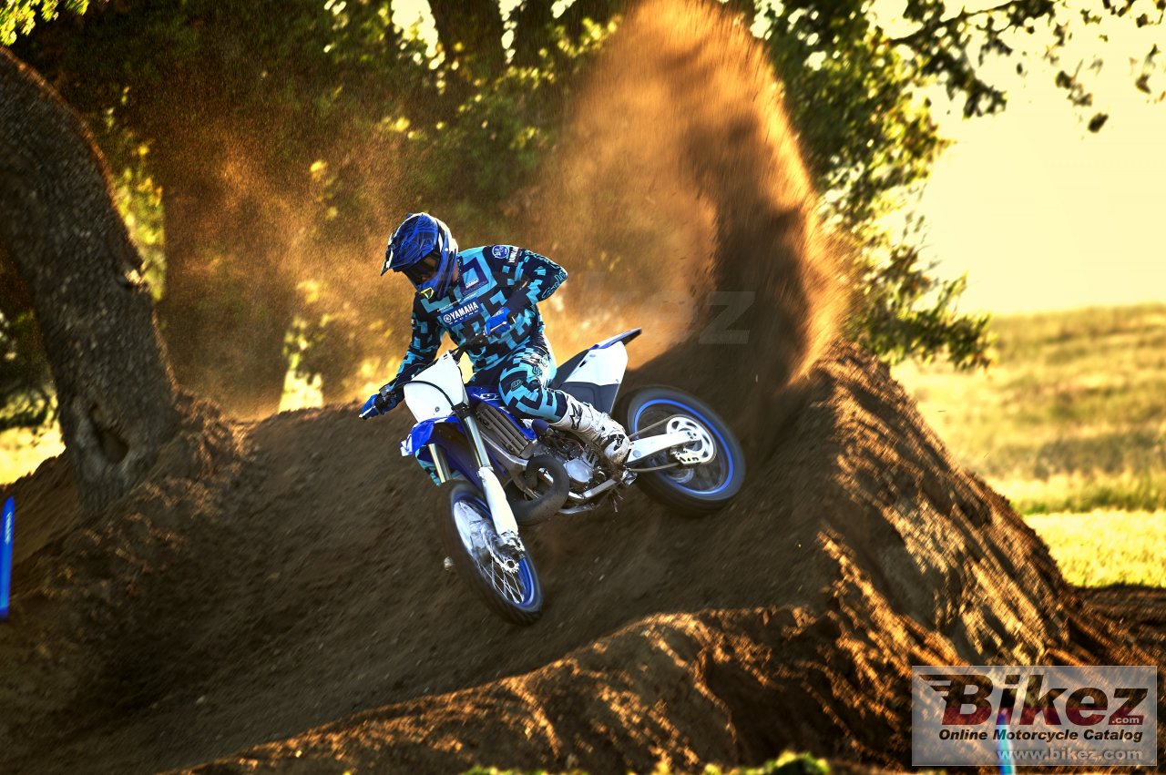 Thumbnail for Yamaha YZ250 2019
