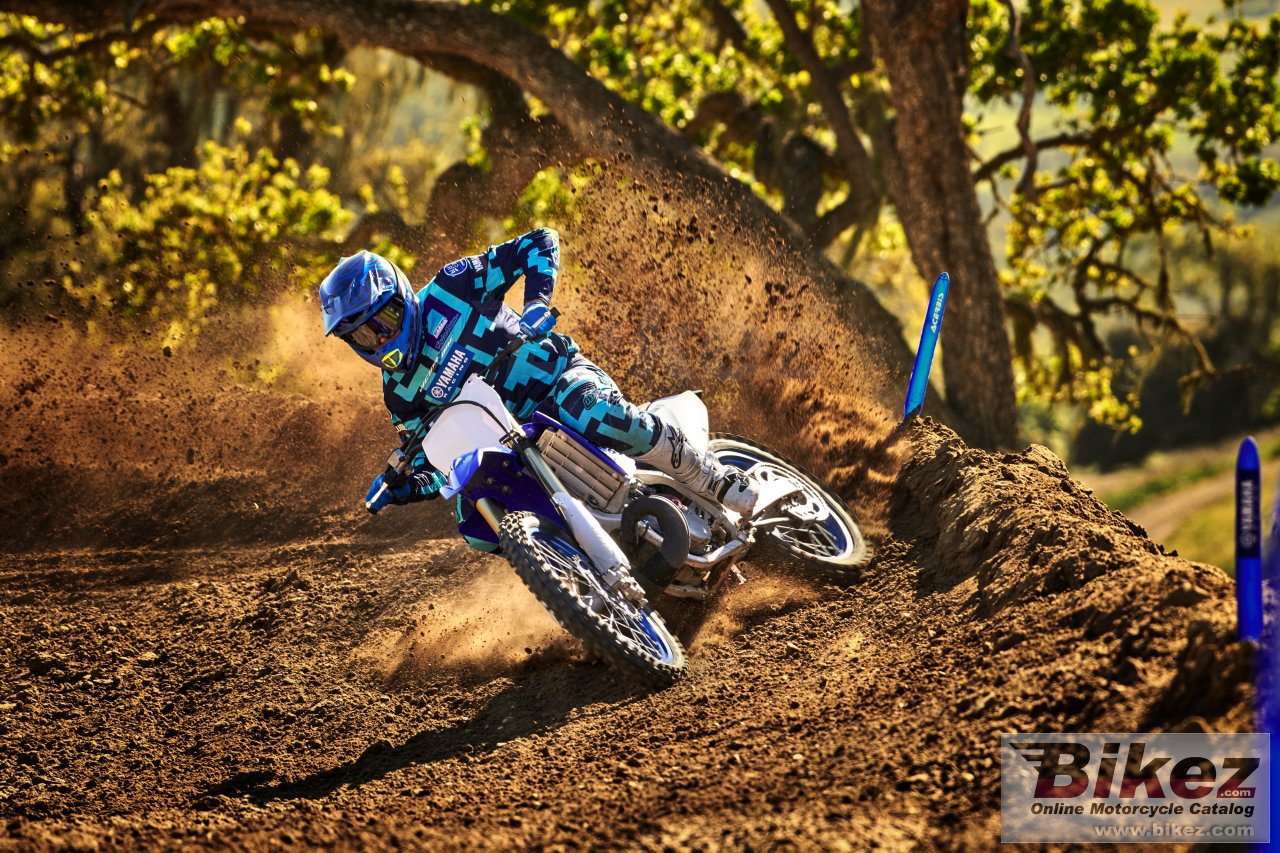 Thumbnail for Yamaha YZ250 2019