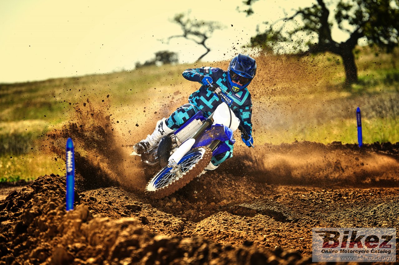 Thumbnail for Yamaha YZ250 2019