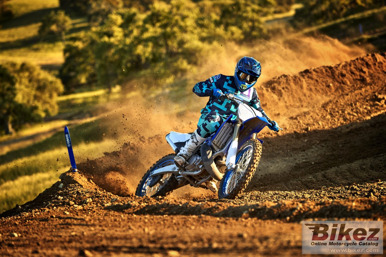 Thumbnail for Yamaha YZ250 2019