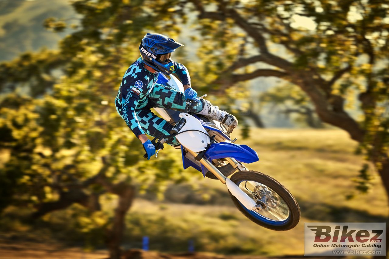 Thumbnail for Yamaha YZ250 2020
