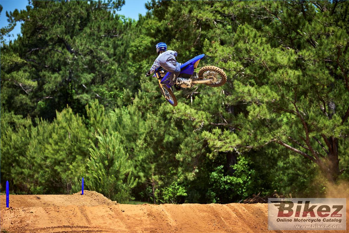 Thumbnail for Yamaha YZ250 2023