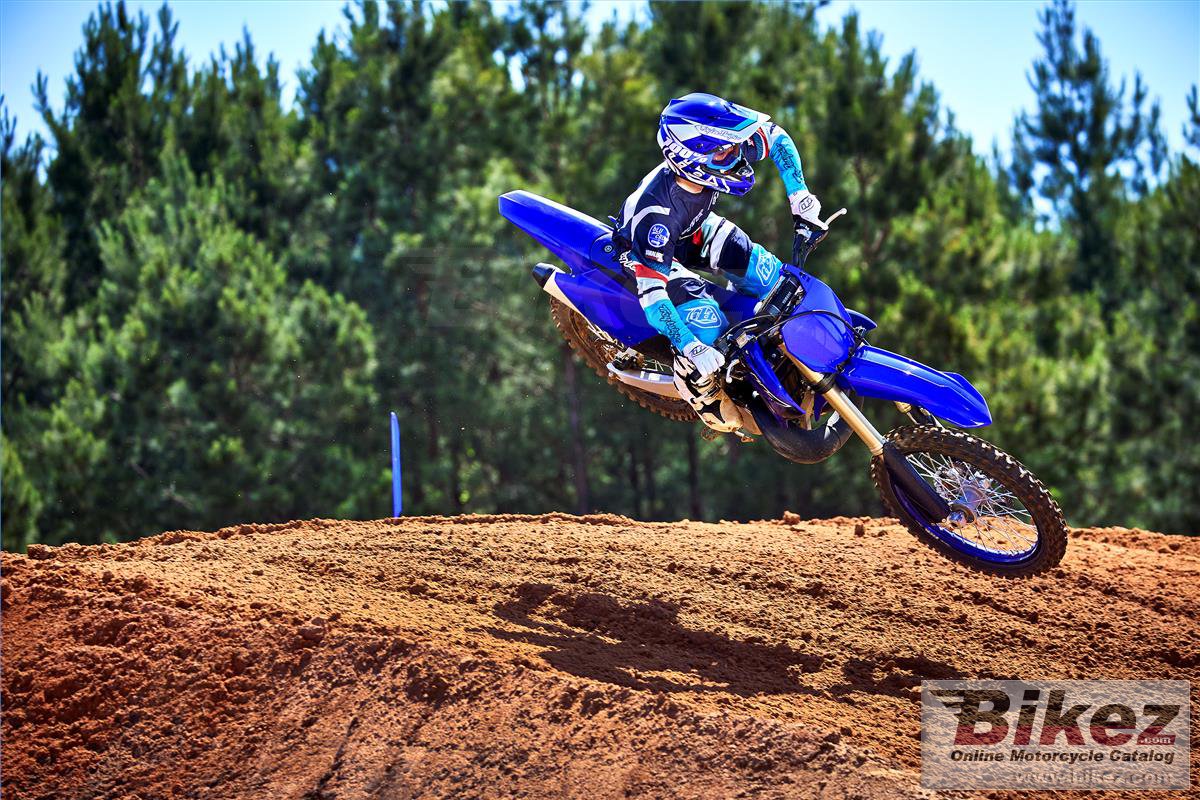 Thumbnail for Yamaha YZ250 2023