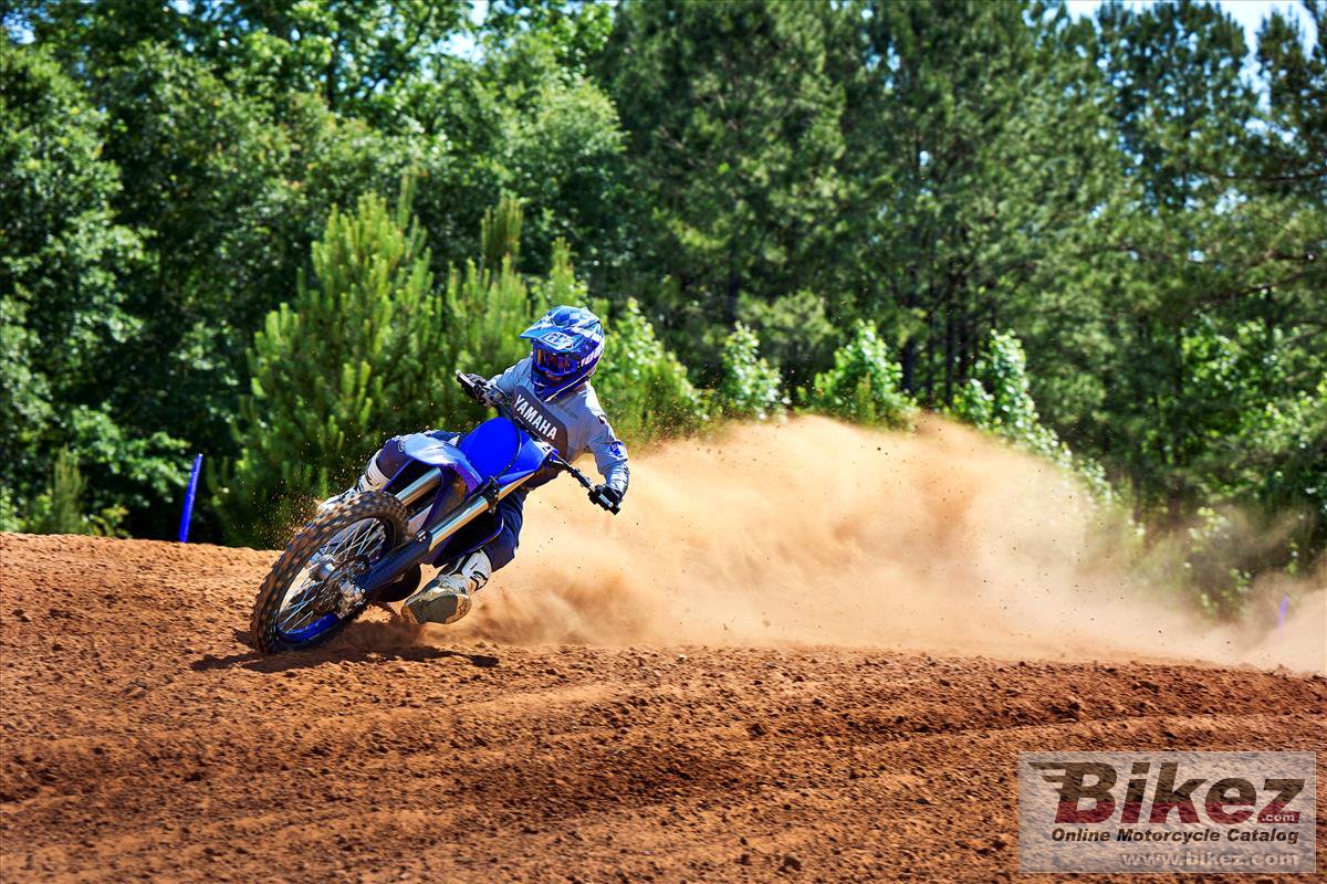 Thumbnail for Yamaha YZ250 2023