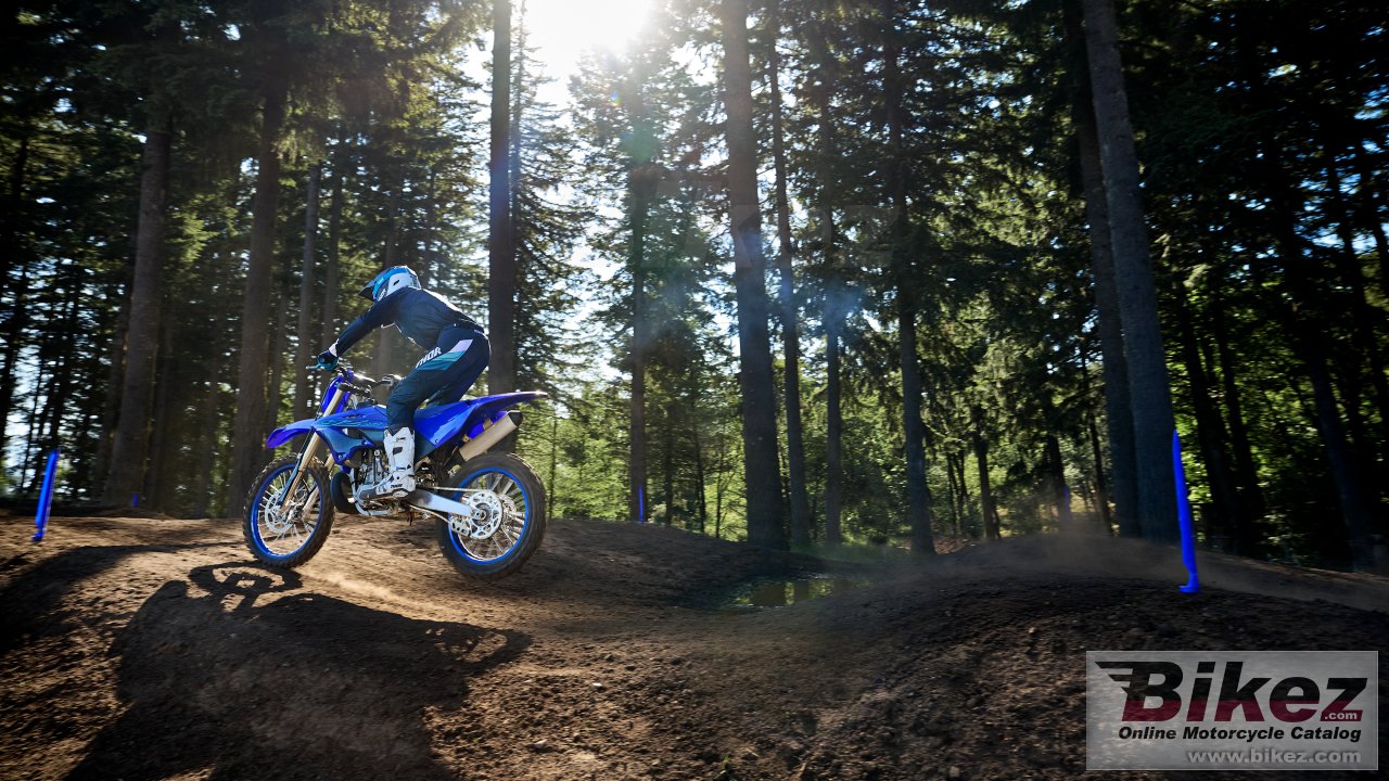 Thumbnail for Yamaha YZ250 2024