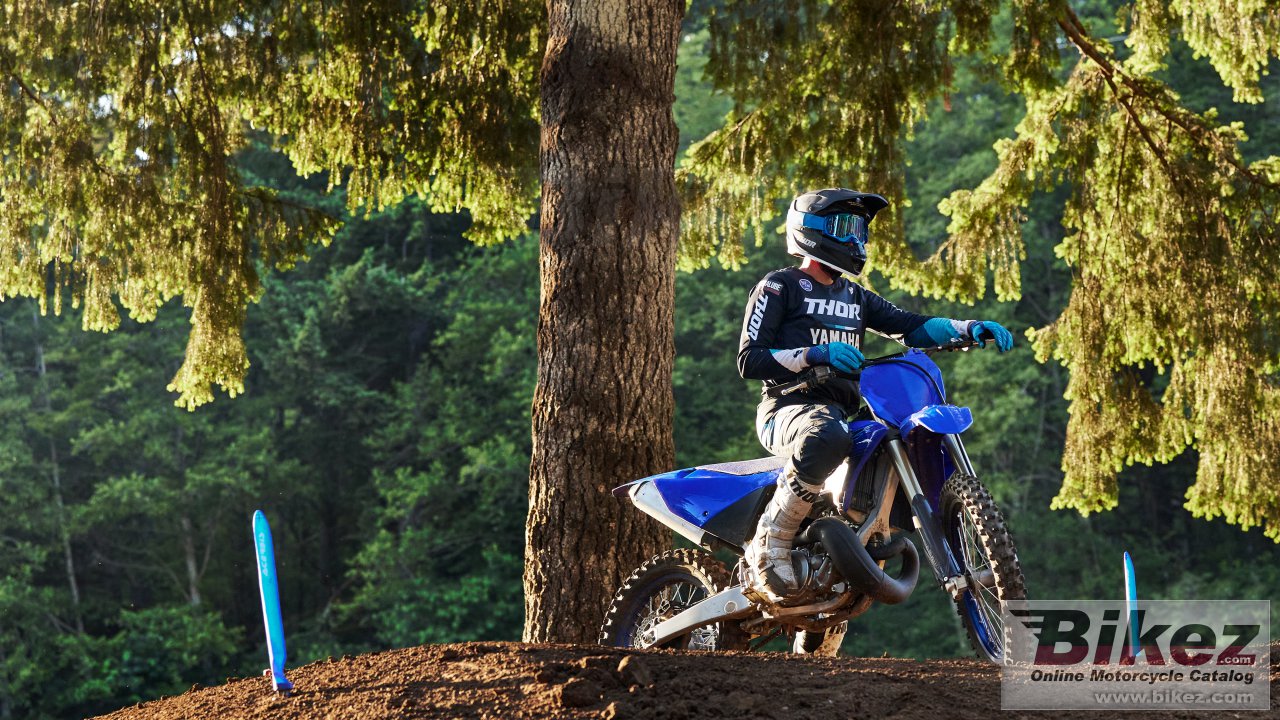 Thumbnail for Yamaha YZ250 2024