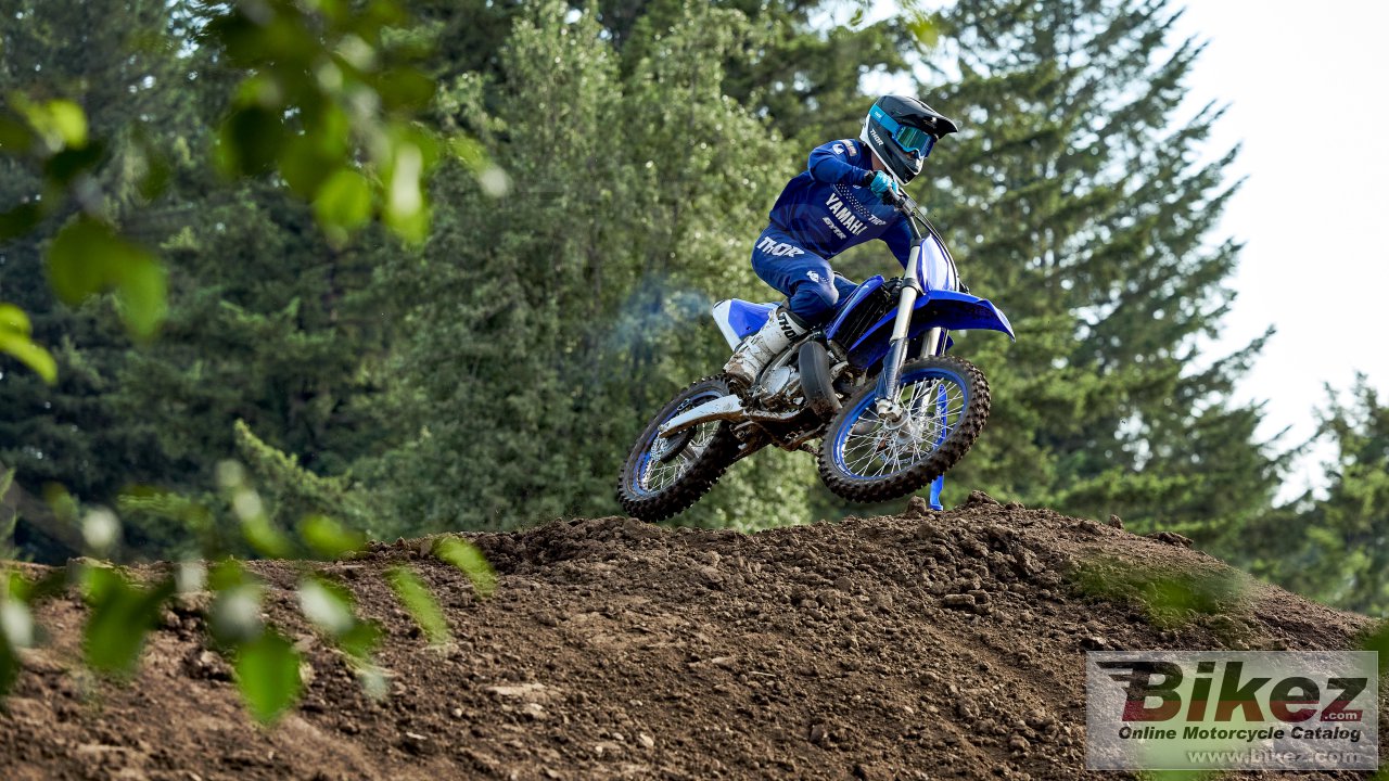 Thumbnail for Yamaha YZ250 2024