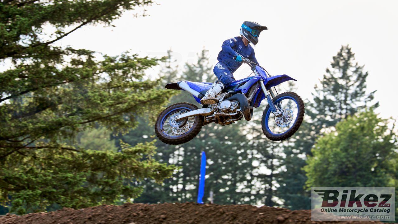 Thumbnail for Yamaha YZ250 2024