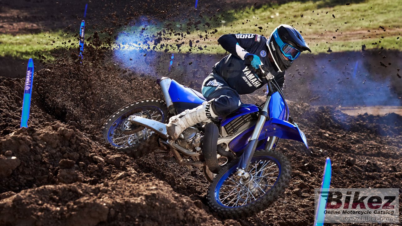 Thumbnail for Yamaha YZ250 2024