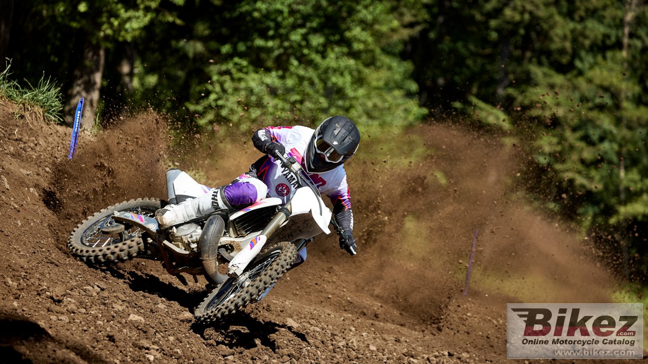 Thumbnail for Yamaha YZ250 50th Anniversary Edition 2024