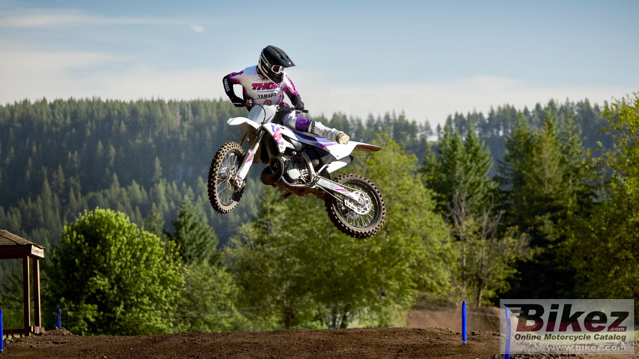 Thumbnail for Yamaha YZ250 50th Anniversary Edition 2024