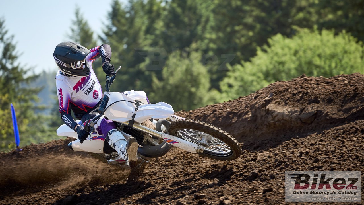 Thumbnail for Yamaha YZ250 50th Anniversary Edition 2024