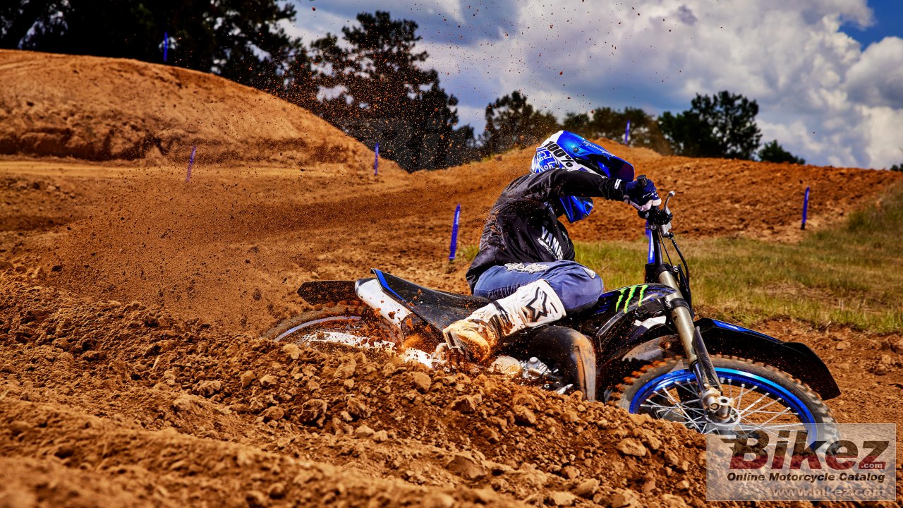 Thumbnail for Yamaha YZ250 Monster Energy 2022