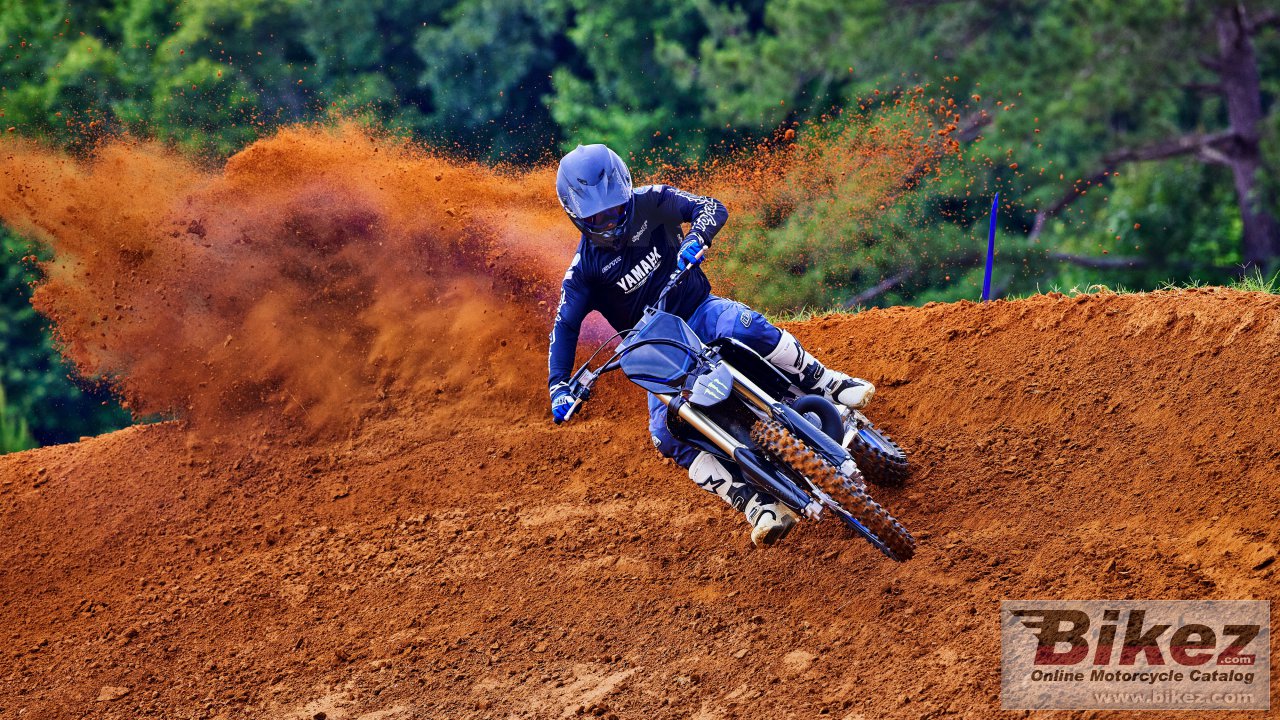 Thumbnail for Yamaha YZ250 Monster Energy 2022