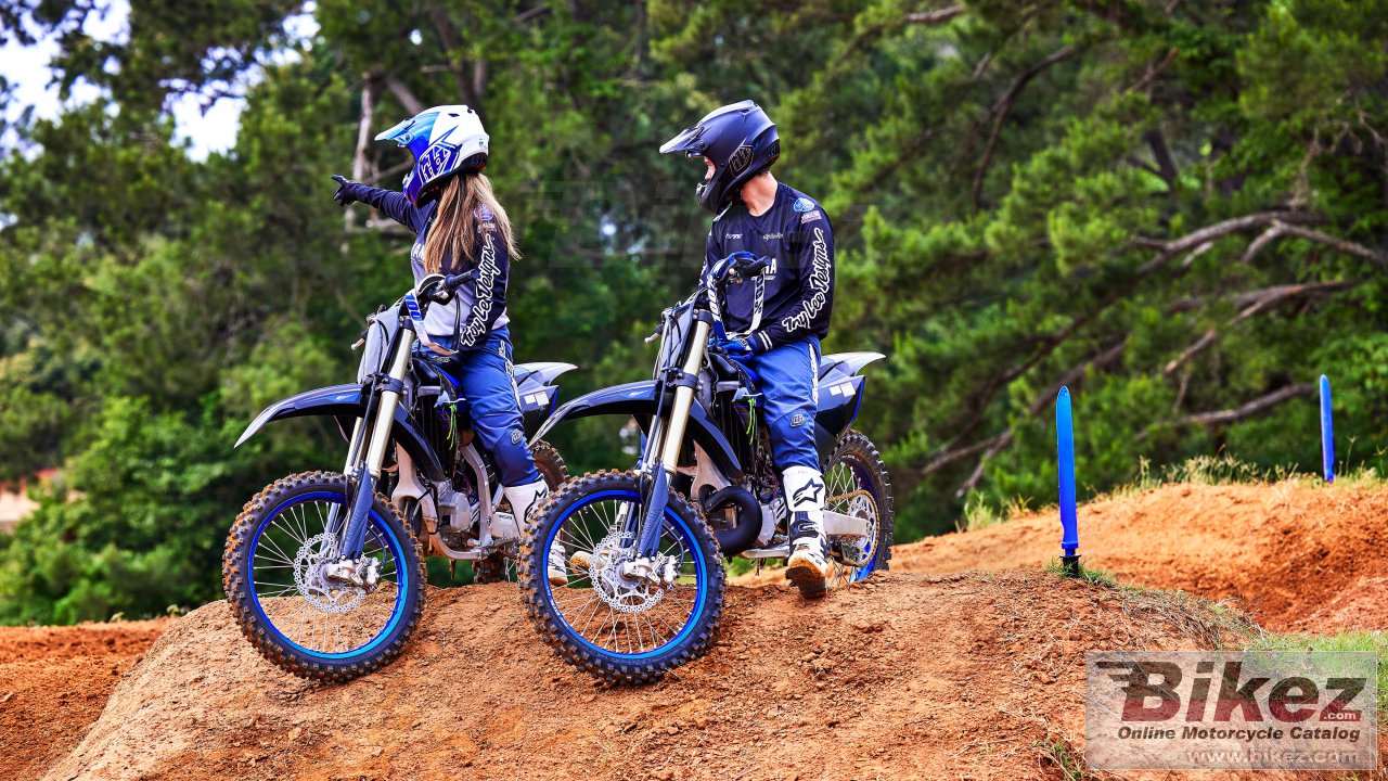 Thumbnail for Yamaha YZ250 Monster Energy 2022