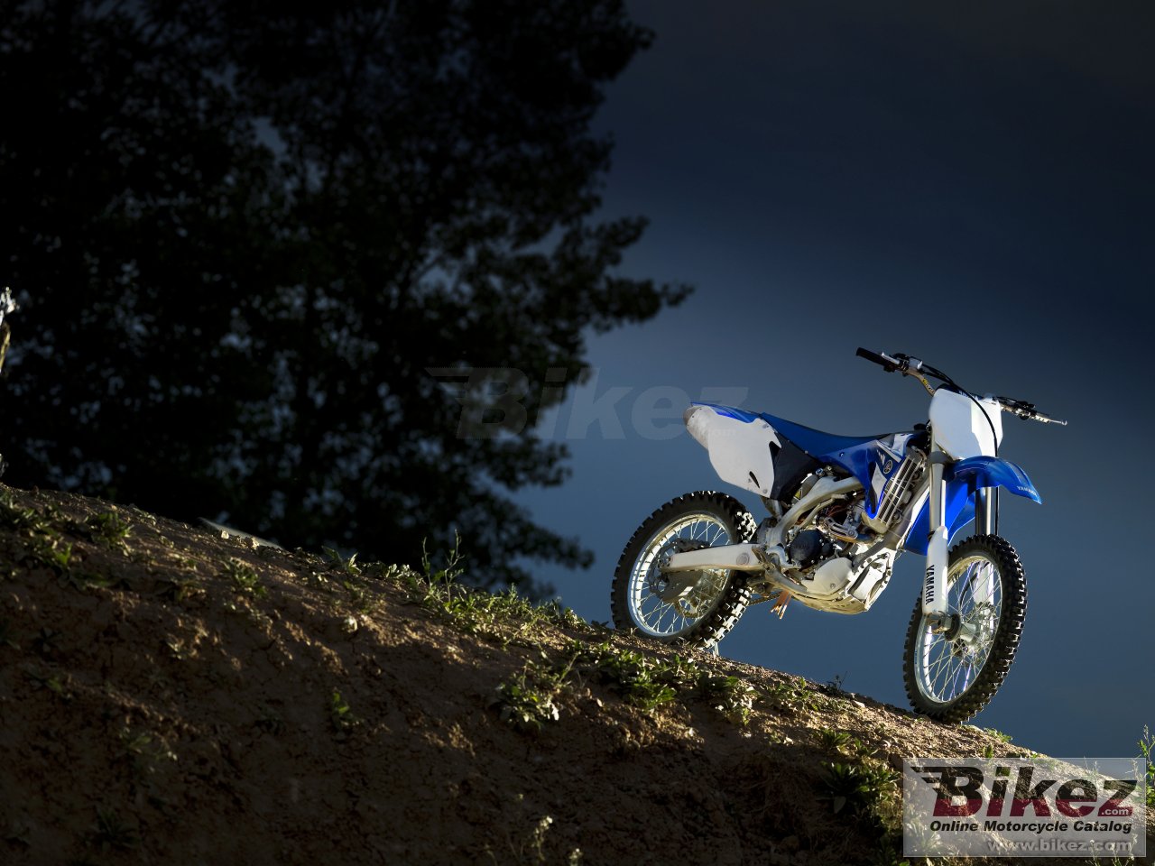 Thumbnail for Yamaha YZ250F 2008