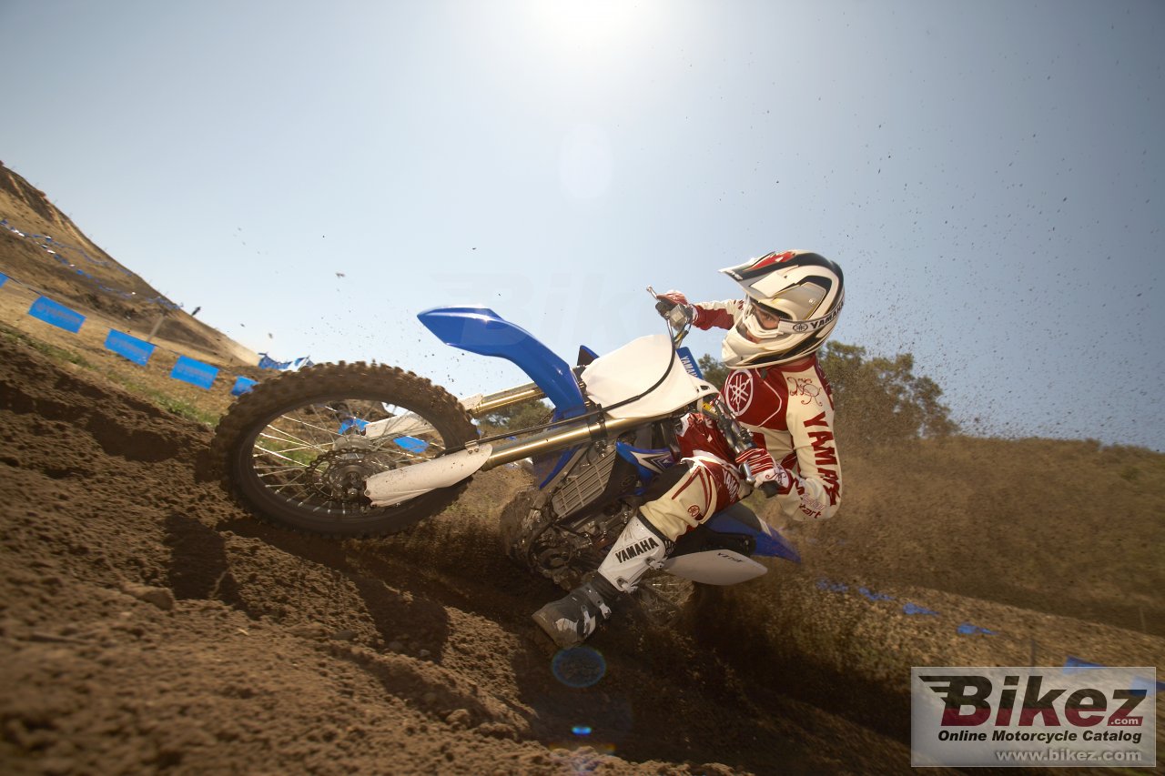 Thumbnail for Yamaha YZ250F 2010