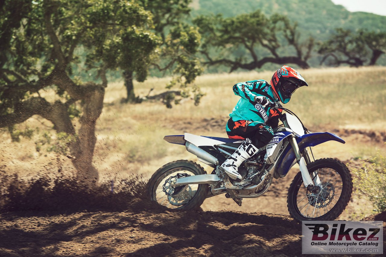 Thumbnail for Yamaha YZ250F 2017
