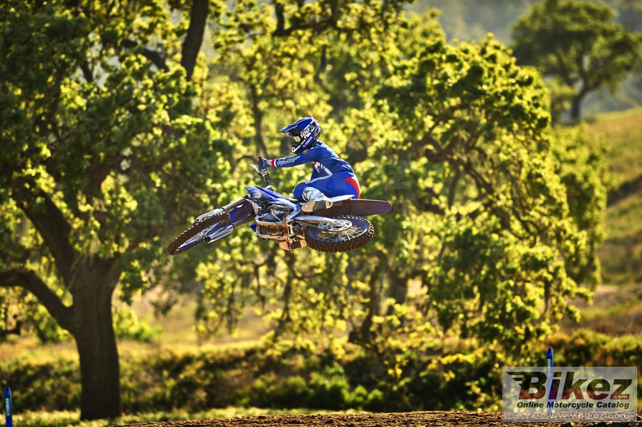 Thumbnail for Yamaha YZ250F 2020
