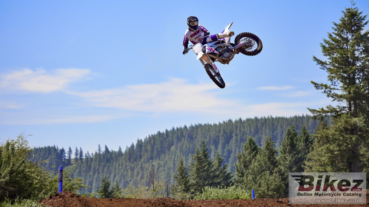 Thumbnail for Yamaha YZ250F 50th Anniversary Edition 2024