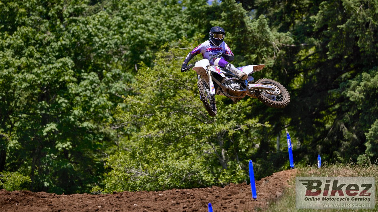 Thumbnail for Yamaha YZ250F 50th Anniversary Edition 2024