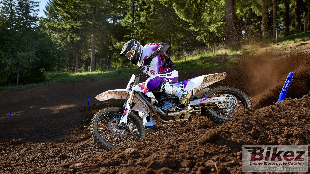 Thumbnail for Yamaha YZ250F 50th Anniversary Edition 2024