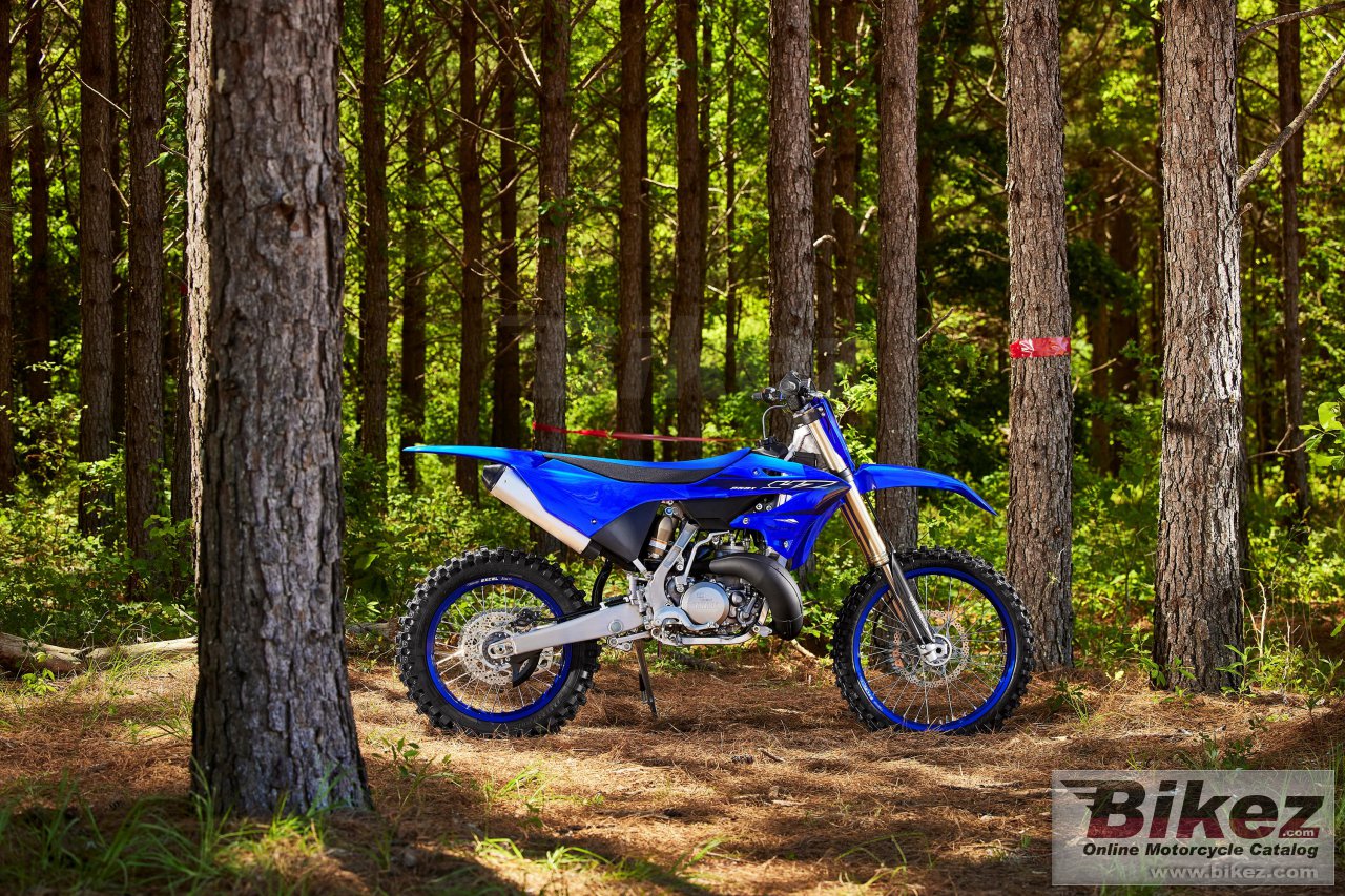 Thumbnail for Yamaha YZ250X 2023