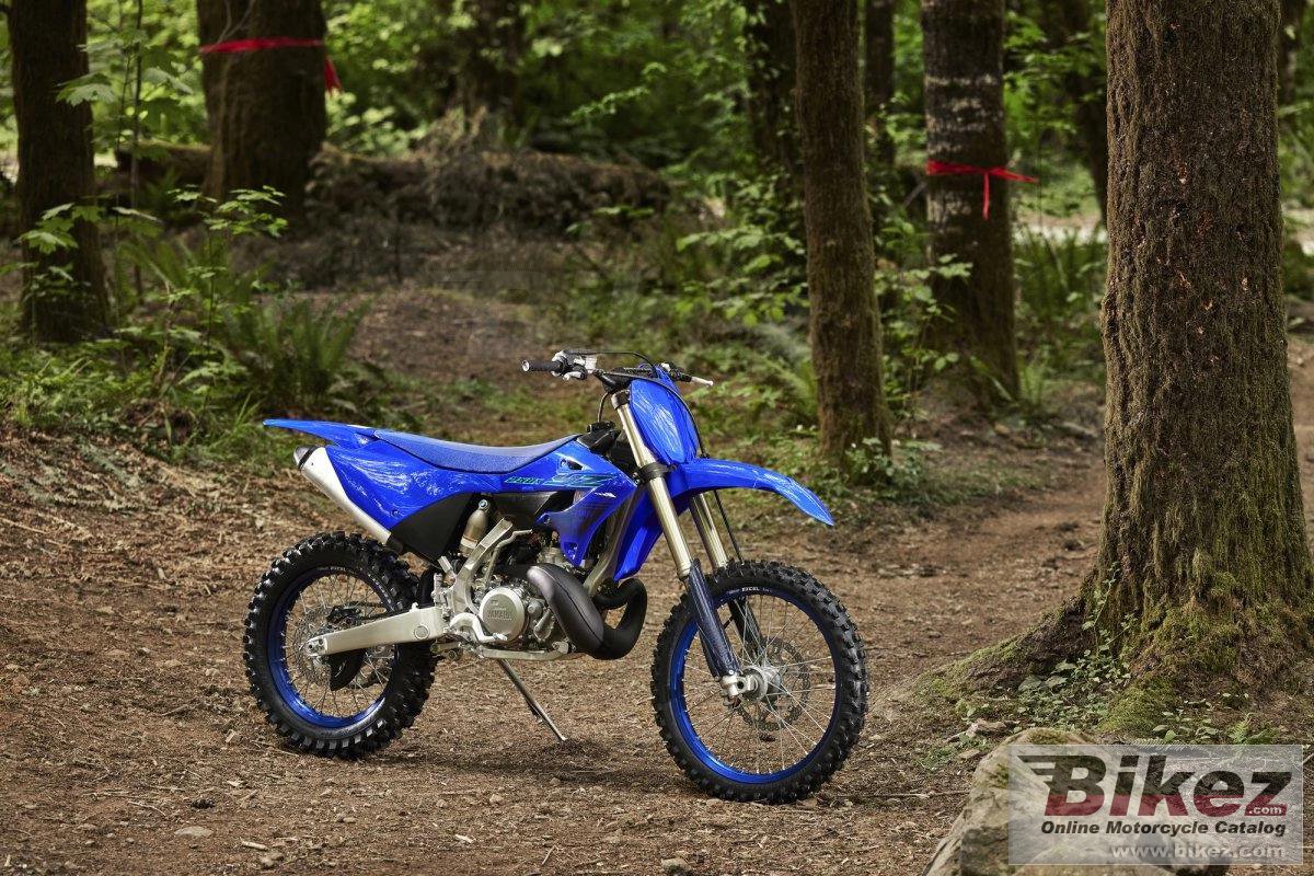 Thumbnail for Yamaha YZ250X 2024