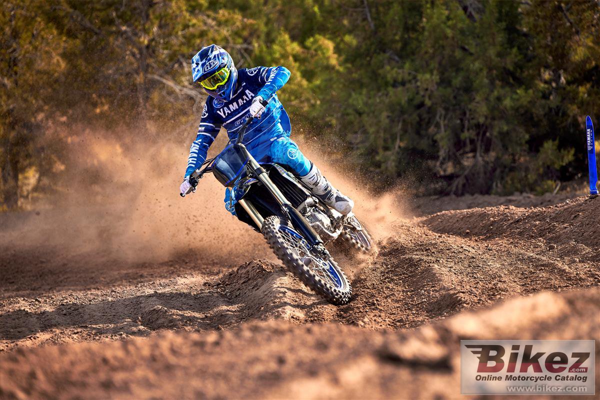 Thumbnail for Yamaha YZ450F Monster Energy 2023