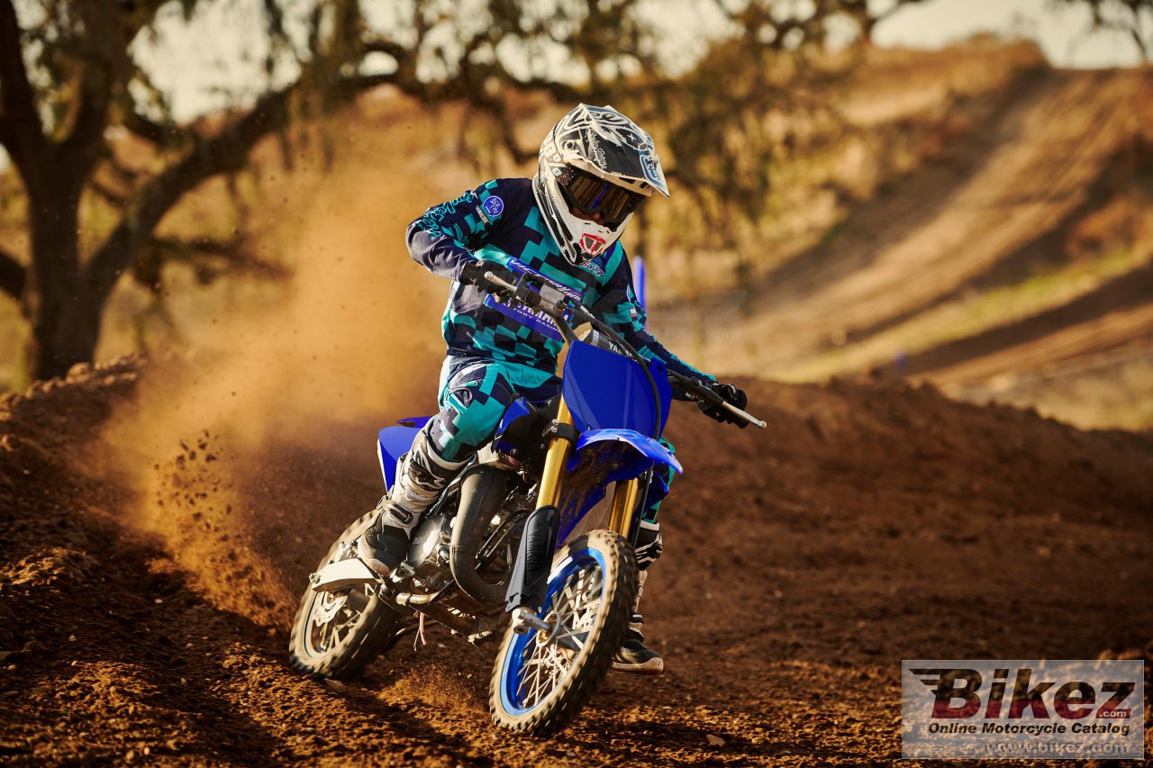 Thumbnail for Yamaha YZ65 2021
