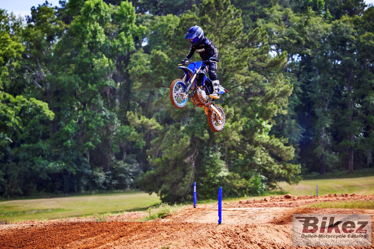 Thumbnail for Yamaha YZ65 2023