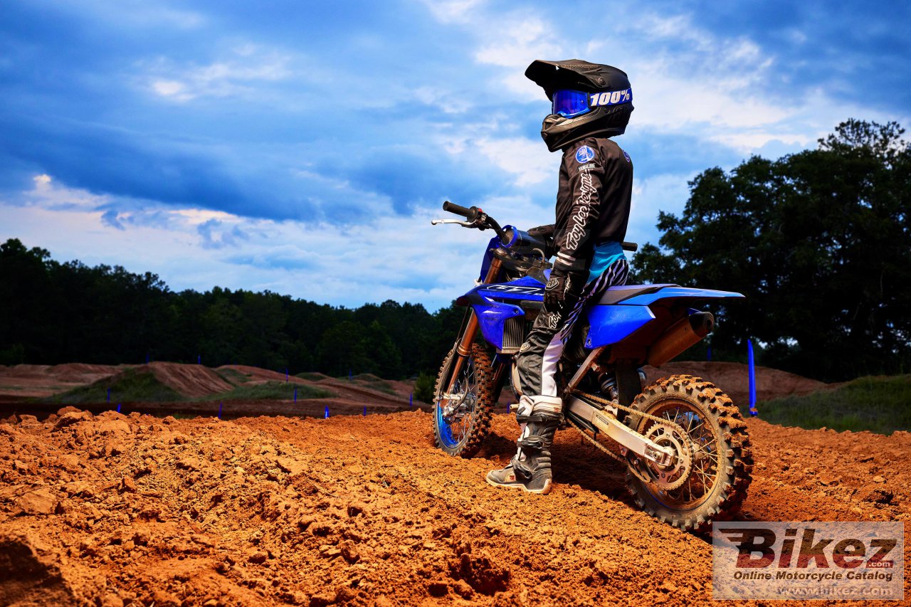 Thumbnail for Yamaha YZ65 2023