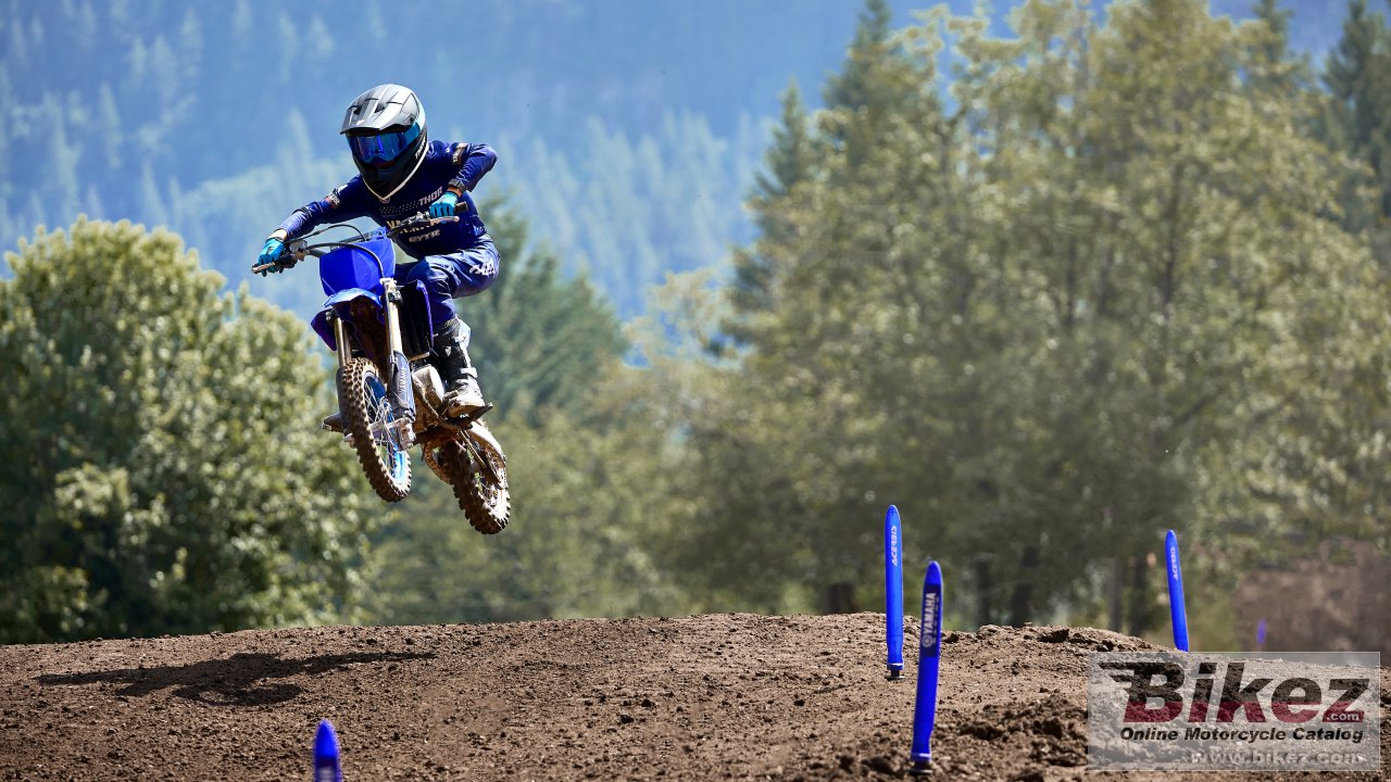 Thumbnail for Yamaha YZ65 2024