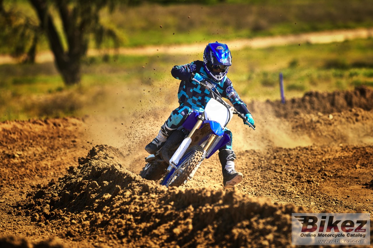 Thumbnail for Yamaha YZ85 2019